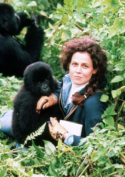 Sigourney Weaver photo