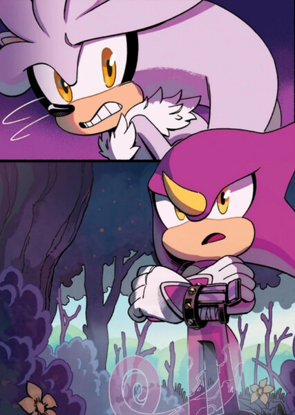 Silver and Espio photo