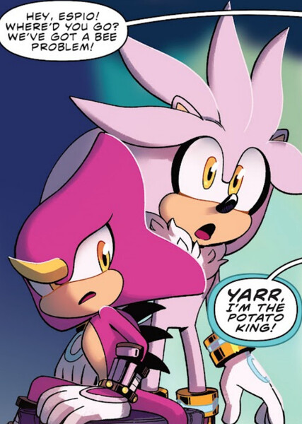 Silver and Espio photo