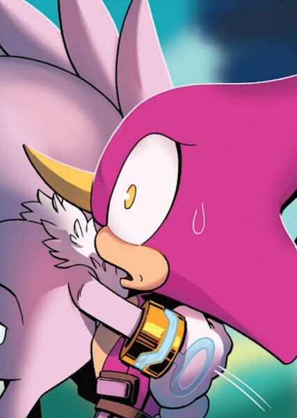 Silver and Espio photo