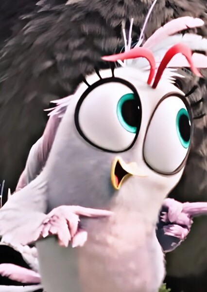 Silver (Gray Bird) photo