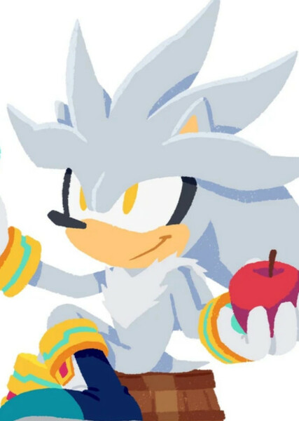 Silver the Hedgehog photo
