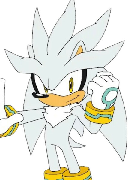 Silver the Hedgehog photo