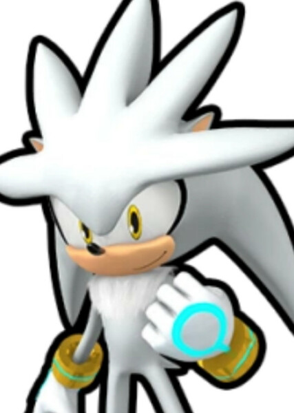 Silver the Hedgehog photo