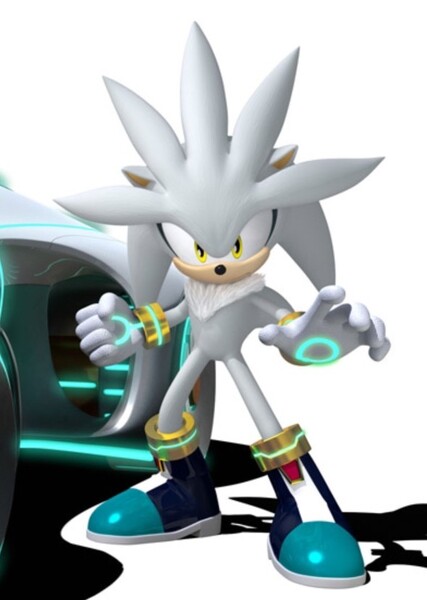 Silver the Hedgehog photo