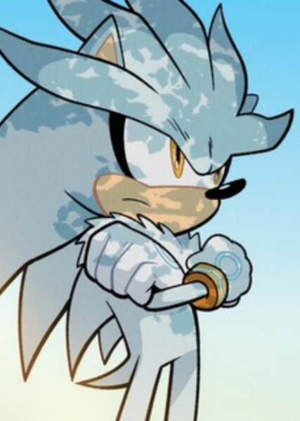 Silver the Hedgehog photo