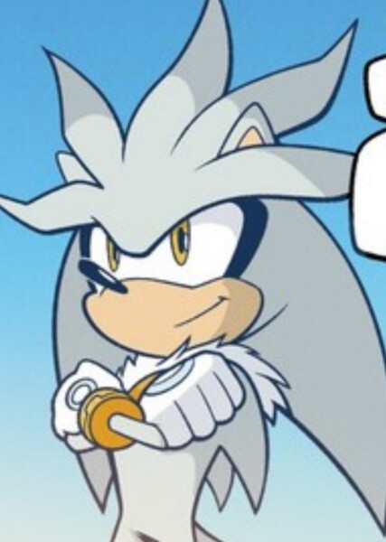 Silver the Hedgehog photo