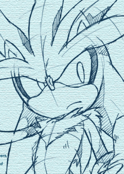 Silver the Hedgehog photo