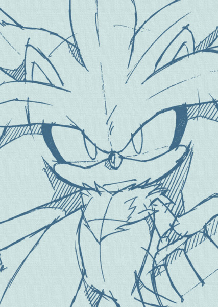 Silver the Hedgehog photo