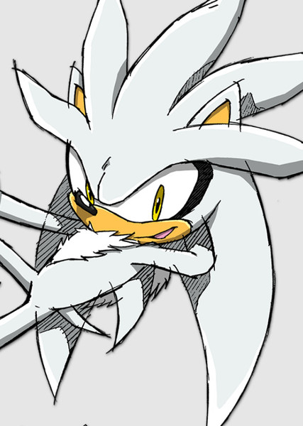 Silver the Hedgehog photo