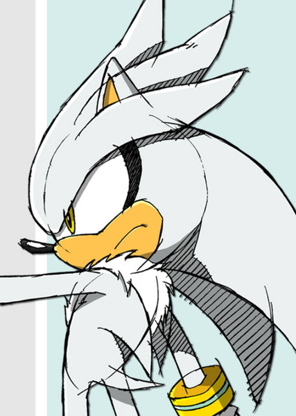 Silver the Hedgehog photo