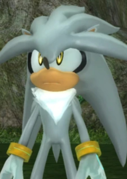 Silver the Hedgehog photo