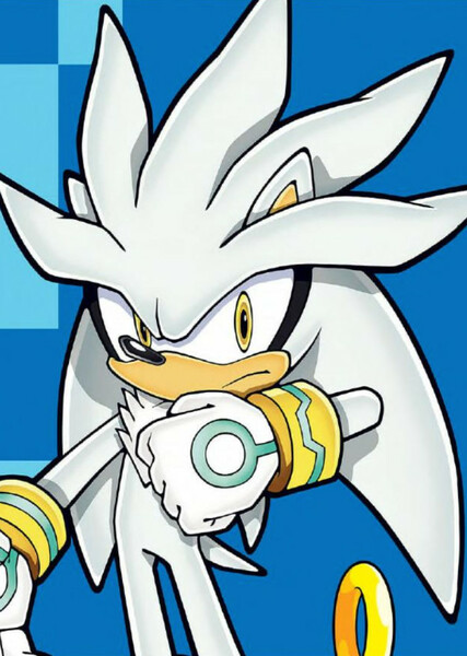 Silver the Hedgehog photo