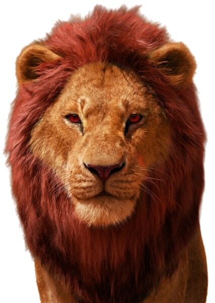 Simba photo
