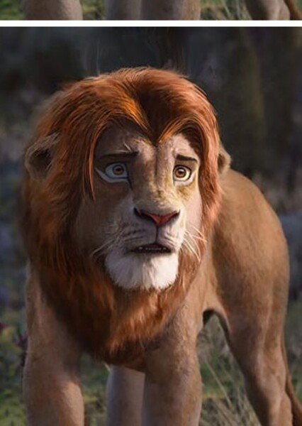 Simba photo