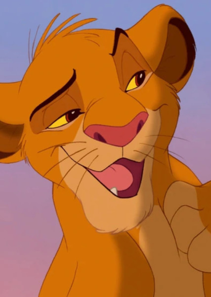 Simba photo