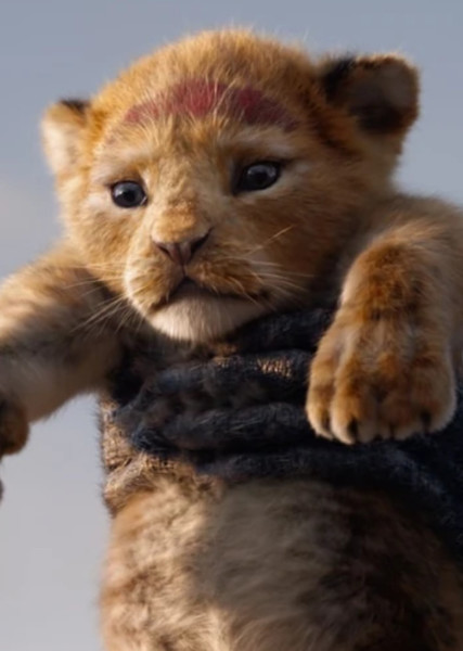 Simba photo
