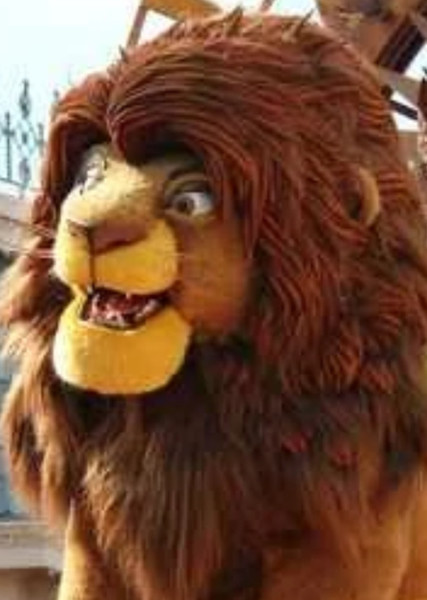 Simba photo