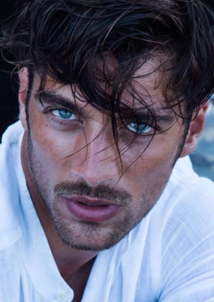 Simone Susinna photo