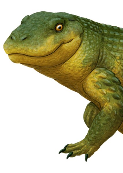 Simosuchus