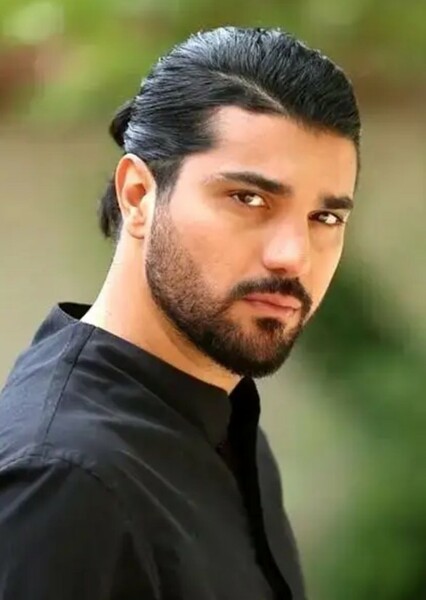 Sina Mehrad photo