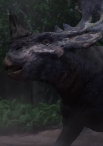 Sinoceratops photo