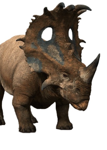 Sinoceratops photo
