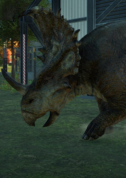 Sinoceratops photo