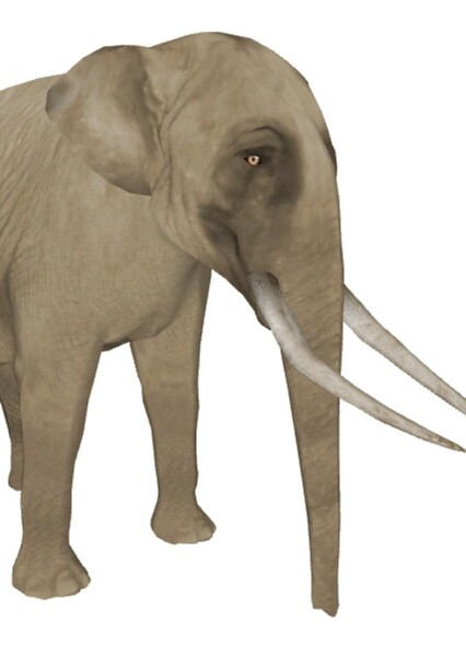 Sinomastodon