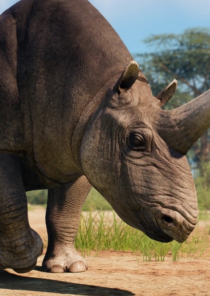 Sinotherium