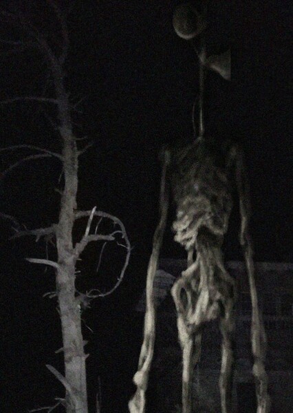 Sirenhead photo