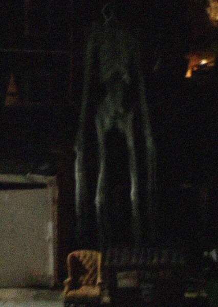 Sirenhead photo