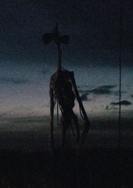 Sirenhead photo