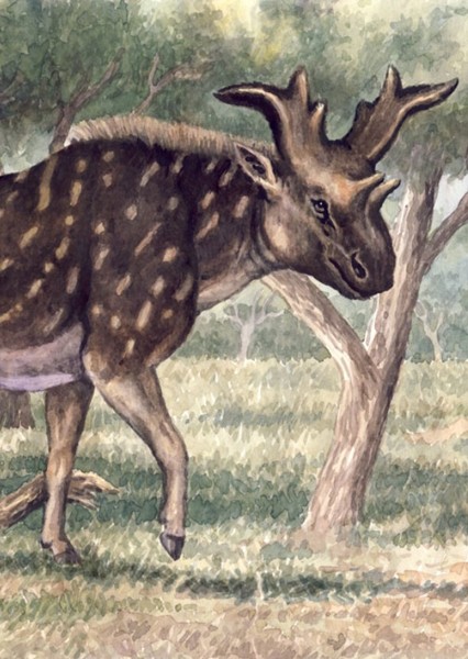 Sivatherium photo