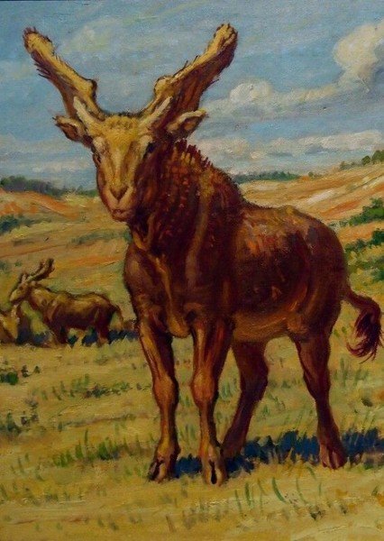 Sivatherium photo