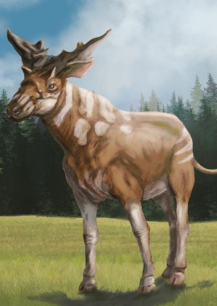 Sivatherium photo