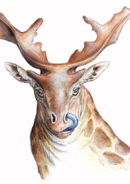 Sivatherium photo