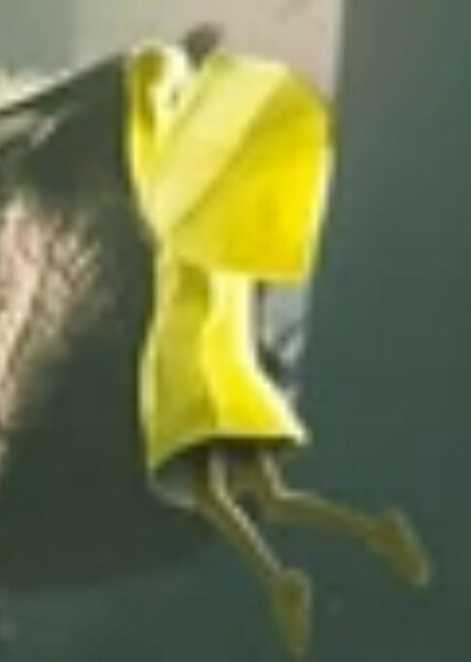 Six (Little Nightmares) photo