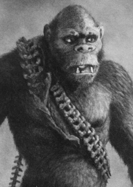 Skar King (1942) photo