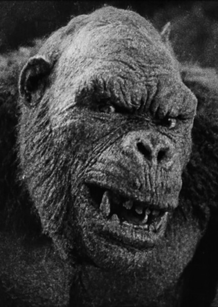 Skar King (1942) photo