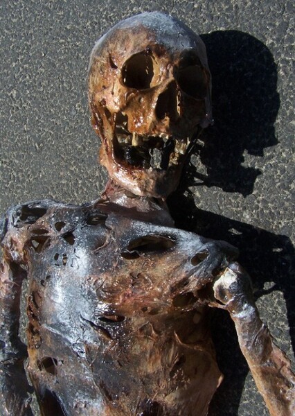 Skeleton photo