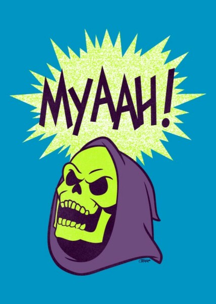 Skeletor photo