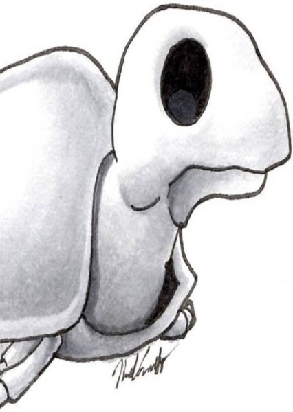 Skeleturtle photo