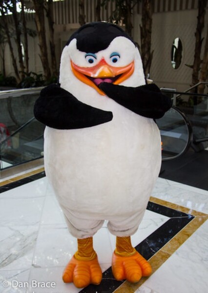 Skipper (Penguins of Madagascar) photo