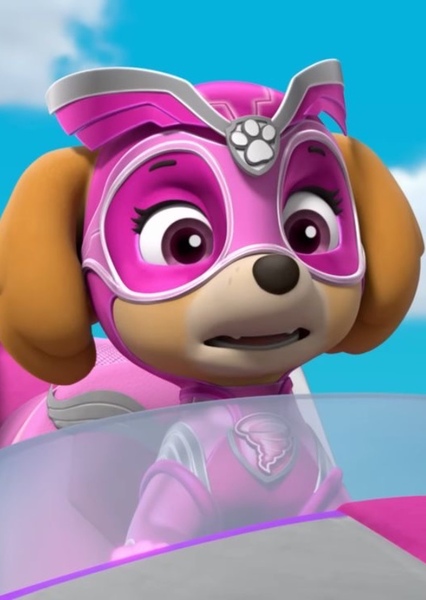 Skye (PAW Patrol) photo