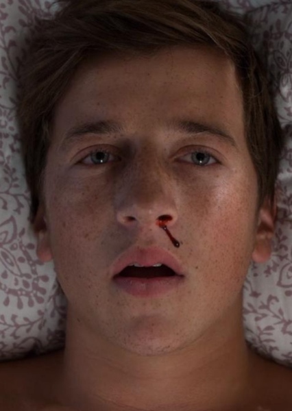 Skyler Gisondo photo