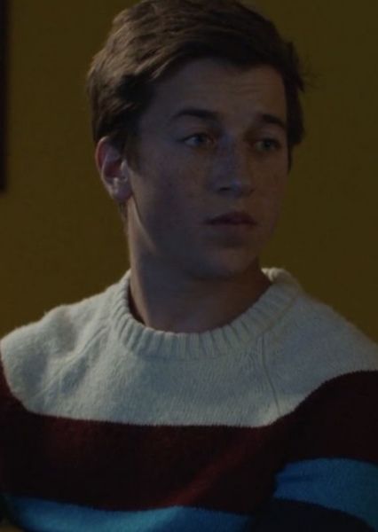 Skyler Gisondo photo