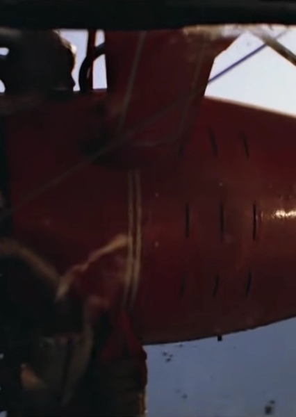 SKYWALKER, AIRPLANE - INERTIA STARTER, BIPLANE