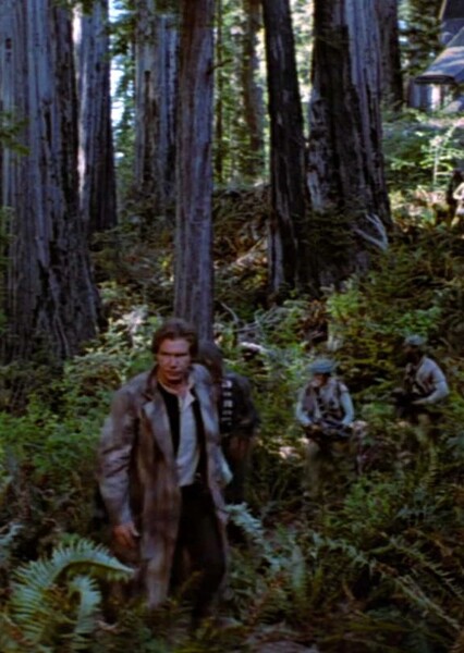 SKYWALKER, AMBIENCE - ENDOR FOREST AMBIENCE