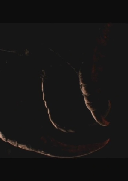 SKYWALKER, BREATH - INDORAPTOR THROAT SWISHING